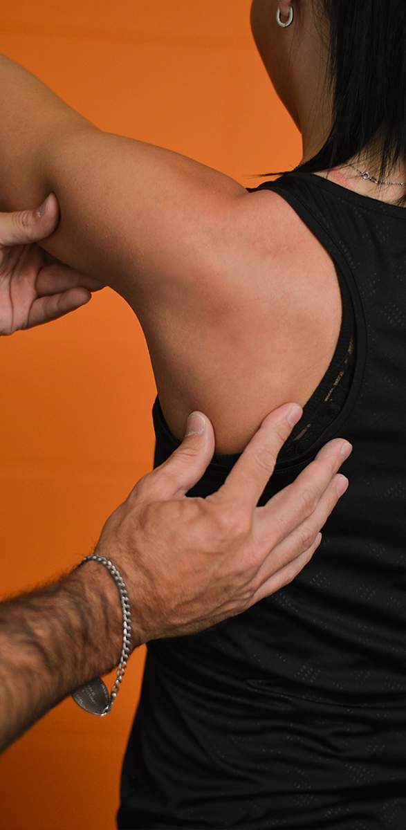 Contrôle moteur - Évolution Physio